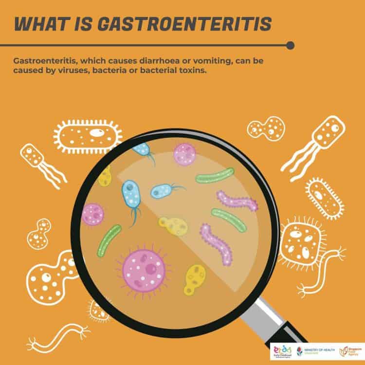 what is gastroenteritis infographic